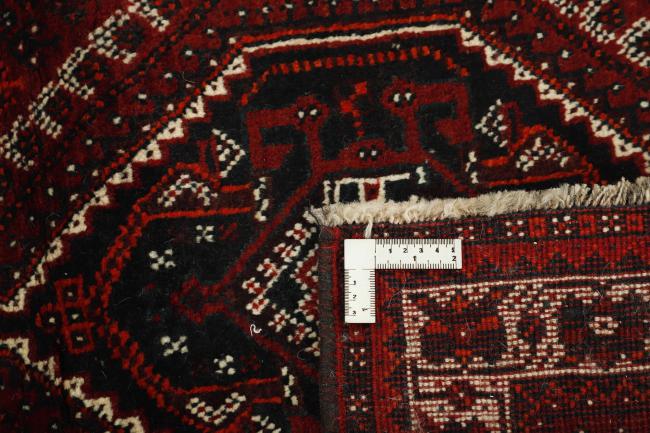 Shiraz - 1