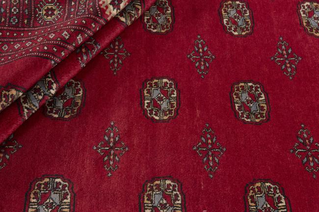 Pakistański Buchara 3ply - 2