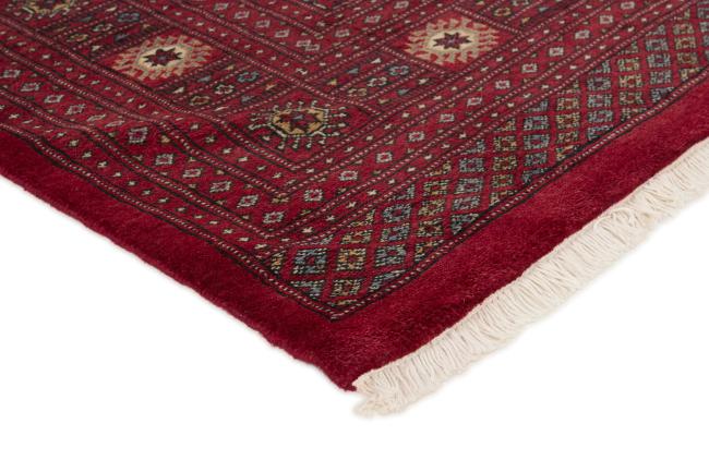 Pakistański Buchara 3ply - 3