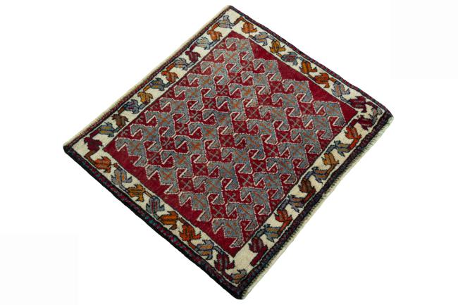 Shiraz - 2