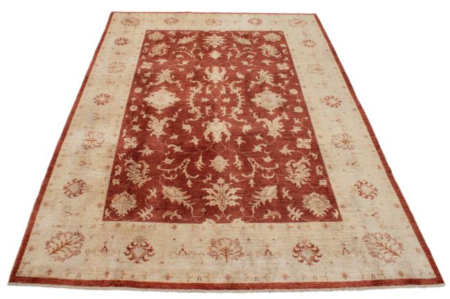 Ziegler Farahan - 3