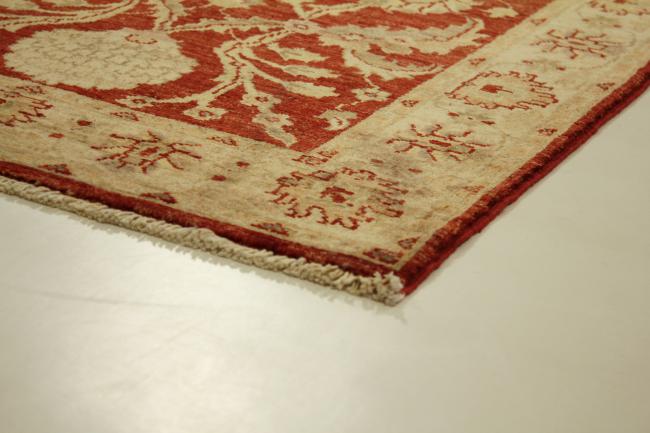 Ziegler Farahan - 3