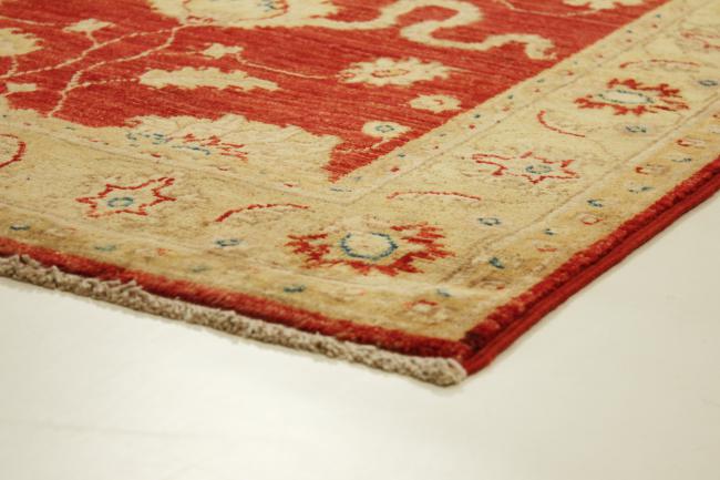 Ziegler Farahan - 3