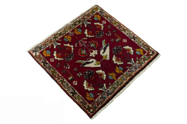 Shiraz - 2