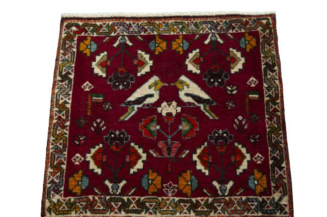 Shiraz - 3
