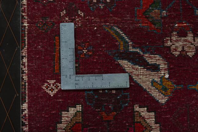 Shiraz - 4
