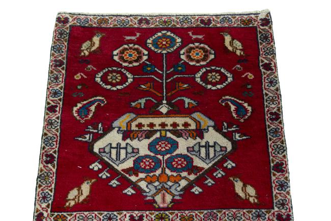 Shiraz - 3