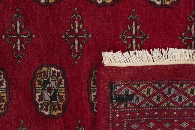 Pakistański Buchara 3ply - 1