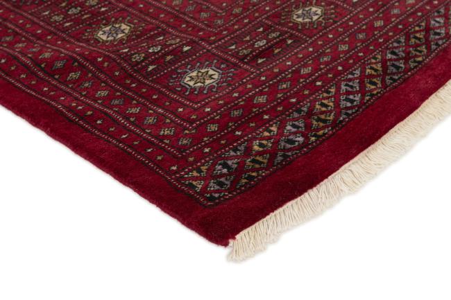 Pakistański Buchara 3ply - 3