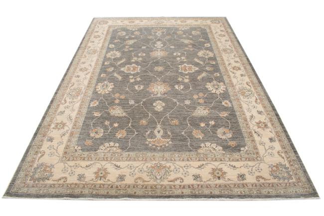 Ziegler Farahan - 3
