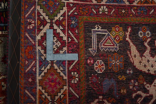 Shiraz - 9