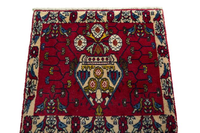 Shiraz - 3