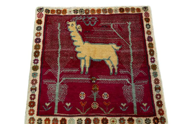 Shiraz - 3