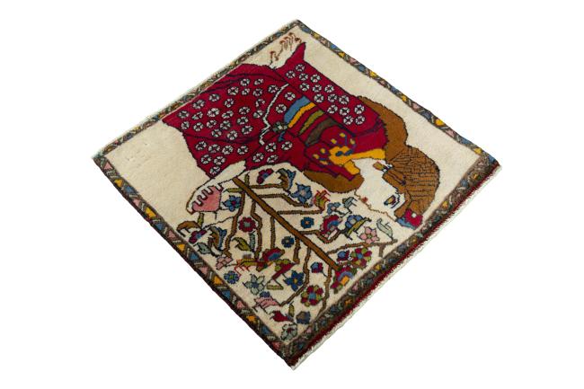 Shiraz - 2