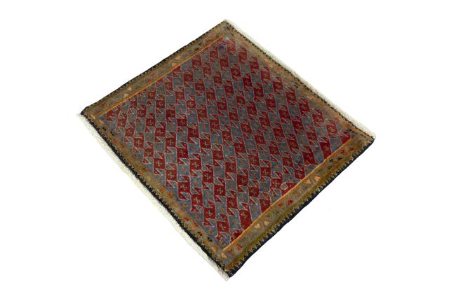 Shiraz - 1