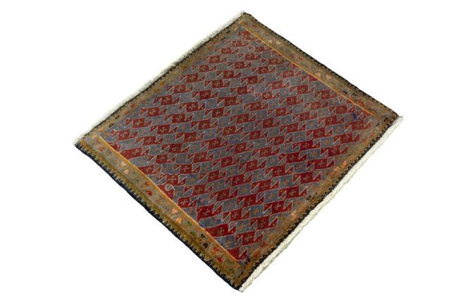 Shiraz - 2