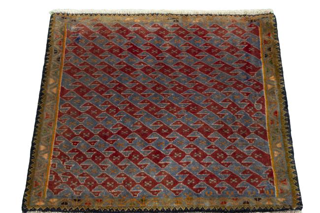 Shiraz - 3