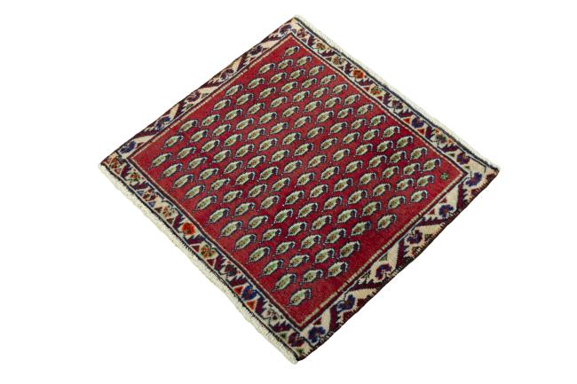 Shiraz - 1