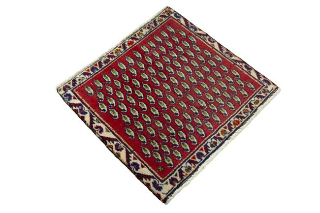 Shiraz - 2