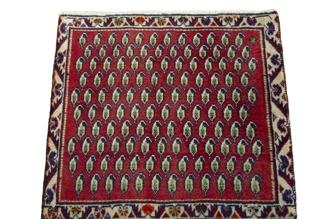 Shiraz - 3