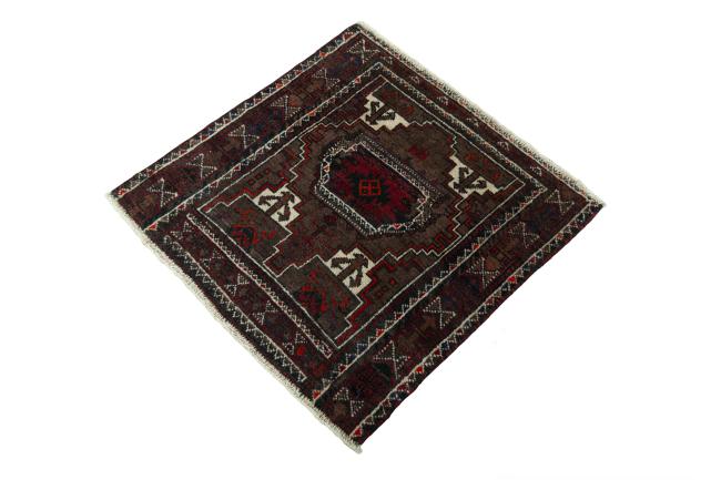 Shiraz - 1