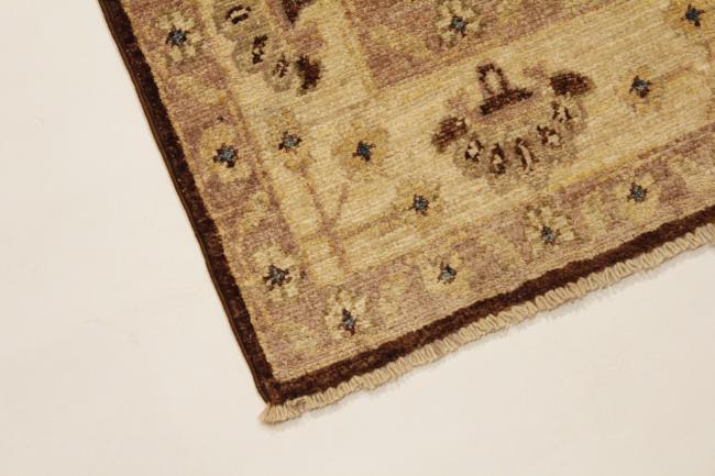 Ziegler Farahan - 3