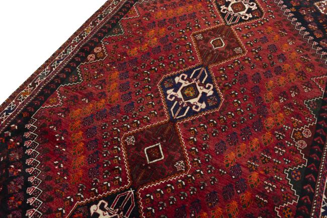 Shiraz - 4