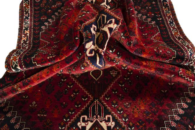 Shiraz - 7
