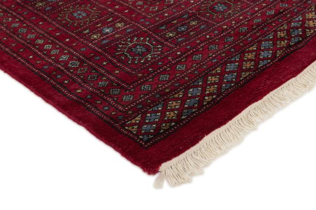 Pakistański Buchara 3ply - 3
