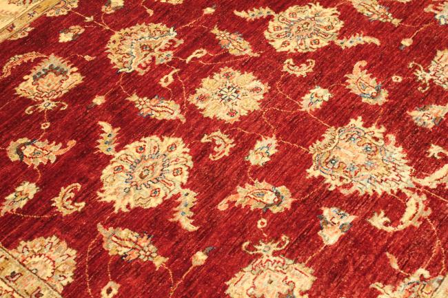Ziegler Farahan - 4