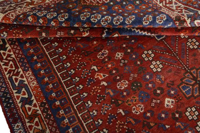 Shiraz - 1