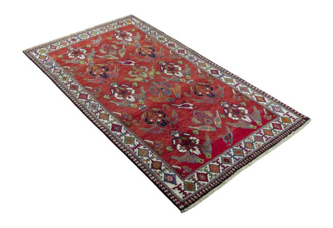 Shiraz - 3