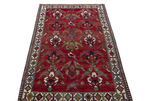 Shiraz - 4