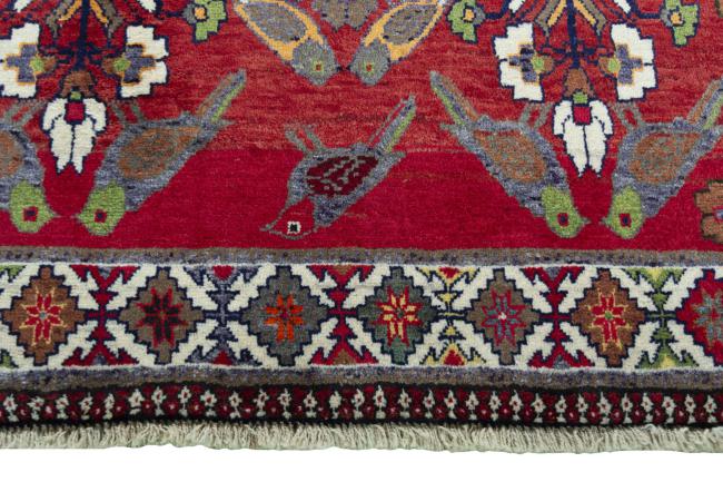 Shiraz - 6