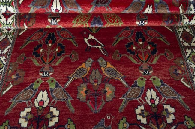 Shiraz - 8