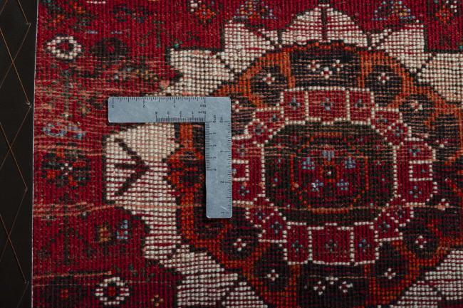 Shiraz - 4