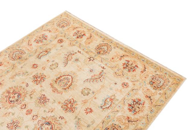 Ziegler Farahan - 3