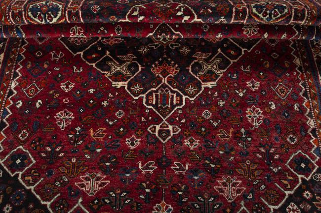 Shiraz - 8