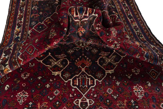 Shiraz - 9
