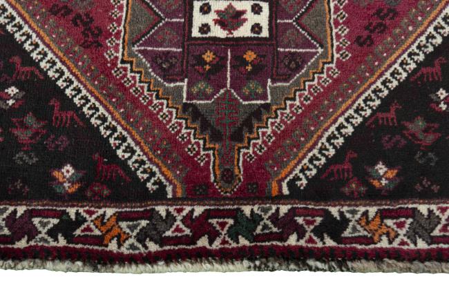 Shiraz - 5