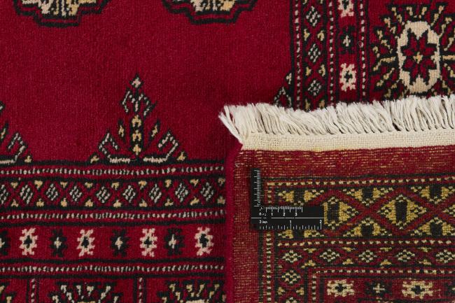 Pakistan Buchara 2ply - 1