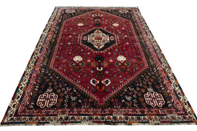 Shiraz - 6