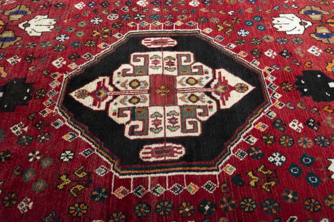 Shiraz - 8