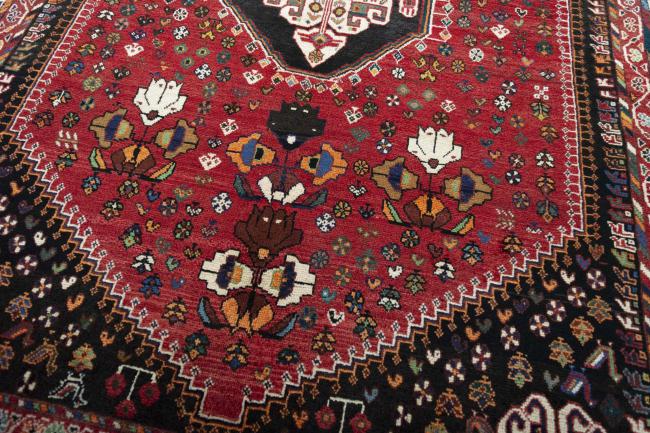 Shiraz - 9