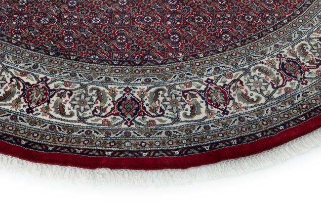 Indo Bidjar - 4