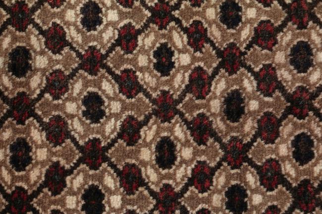 Χαμαντάν - 5