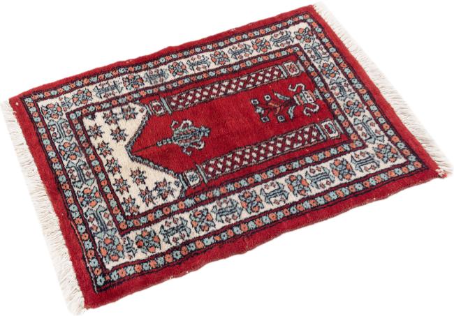 Pakistański Buchara 3Ply - 1