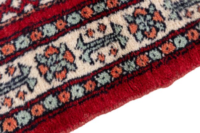 Pakistański Buchara 3Ply - 4