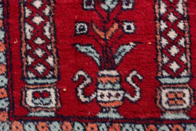 Pakistański Buchara 3Ply - 5