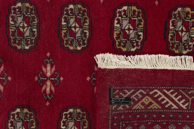 Pakistański Buchara 3ply - 1